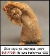 images-2.webp