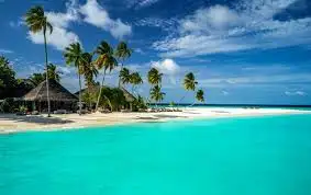 images (2).webp