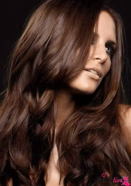 images (2).webp