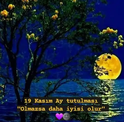 images (2).webp