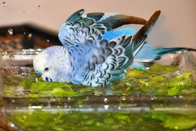 images-2.webp