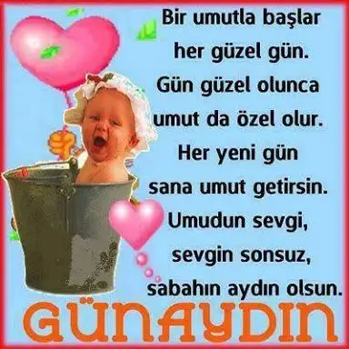 images-20.webp