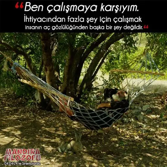 images (20).webp
