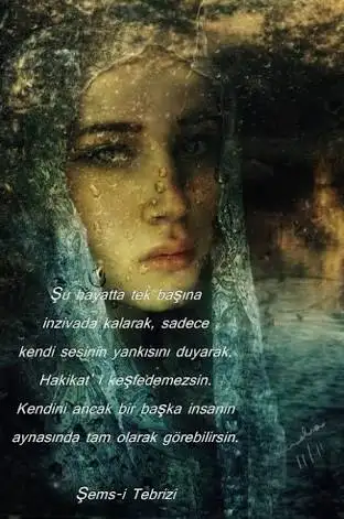 images-201.webp