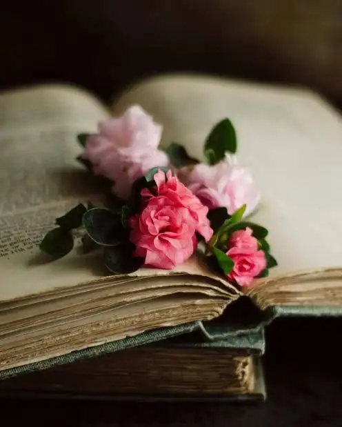 images - 2021-05-28T092808.385.jpeg