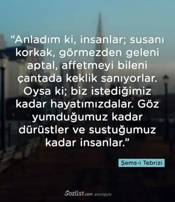 images-228.webp
