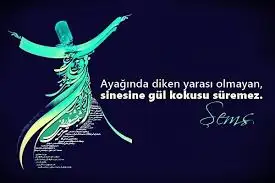 images-245.webp