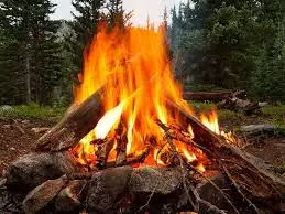 images(25).webp