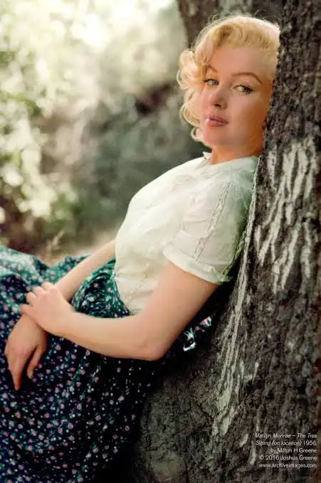 images-25.webp