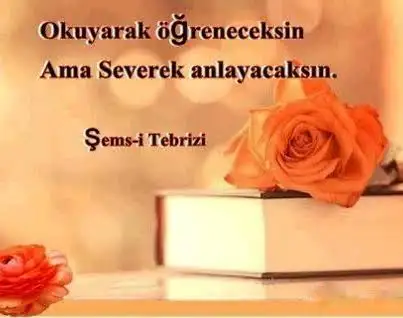 images-257.webp