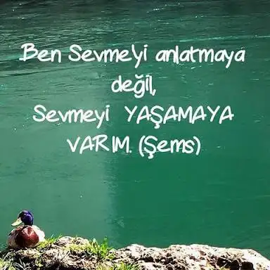 images-269.webp