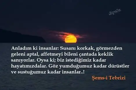 images-284.webp