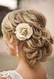 images (3).webp