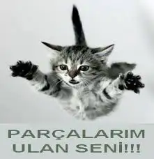 images-3.webp