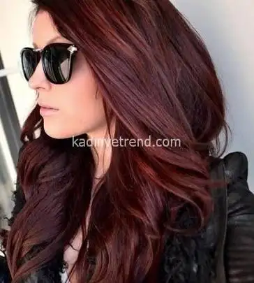 images (3).webp