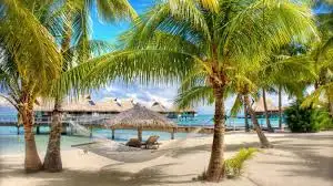 images (3).webp