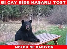 images (3).webp