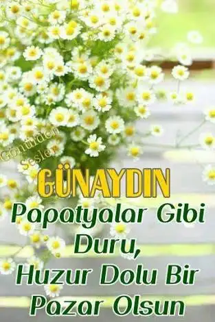 images (3).webp