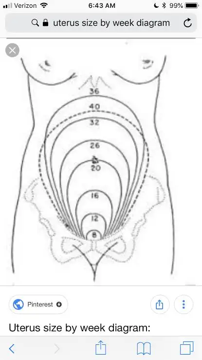 images (3).webp