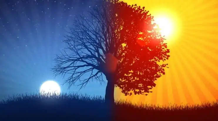 images (3).webp