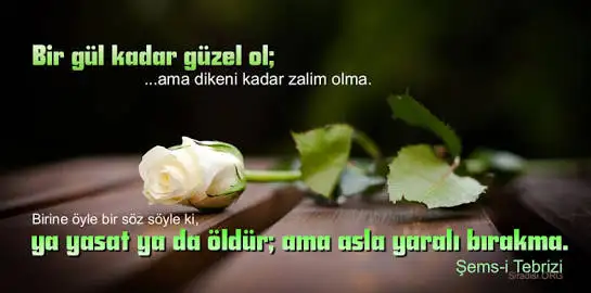 images-308.webp
