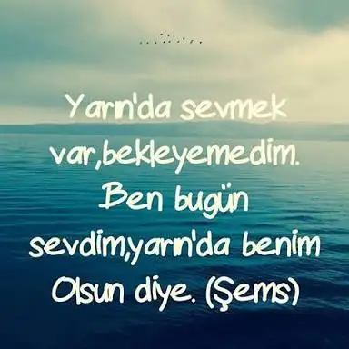 images-309.webp