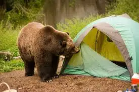 images(37).webp