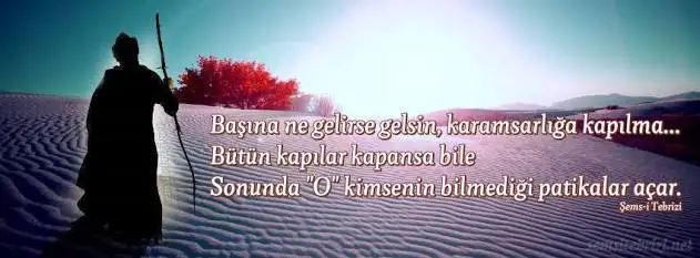 images-384.webp