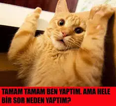 images (4).webp