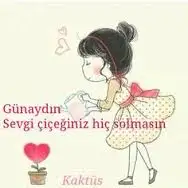 images (4).webp