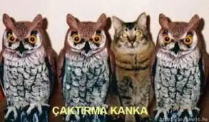 images (4).webp