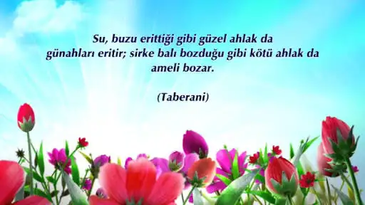 images-4.webp