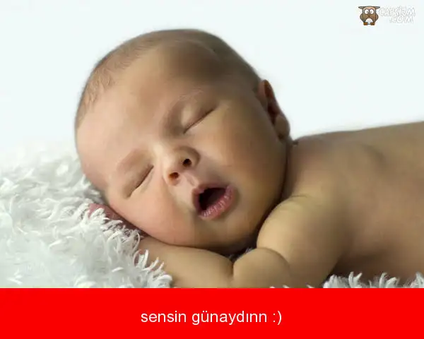 images (4).webp