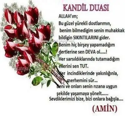 images (5).webp