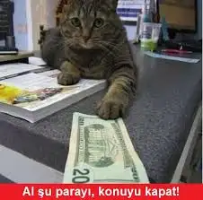 images (6).webp