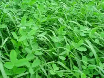 images (6).webp