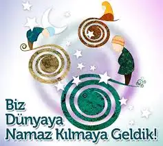images (8).webp