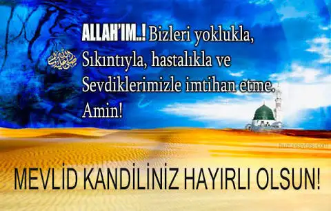 images-9.webp