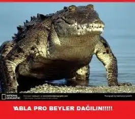 images (9).webp
