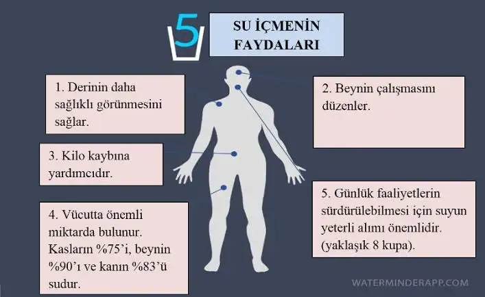 images.jpeg-3.webp