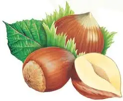 images.webp
