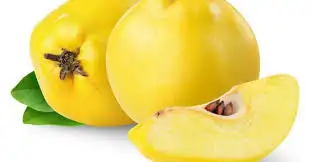 images.webp