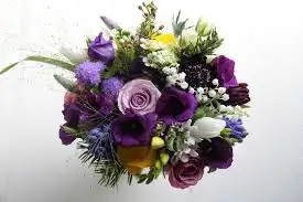 images.webp