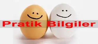 images.webp