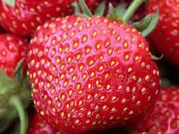 images.webp