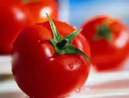 images.webp