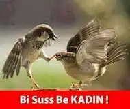 images.webp