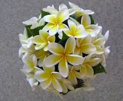images.webp