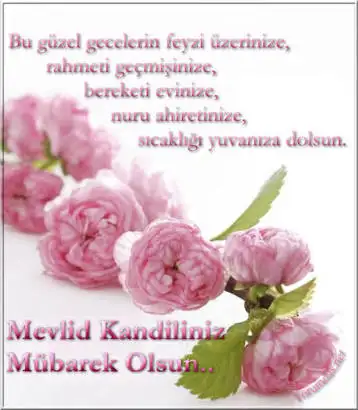 images.webp