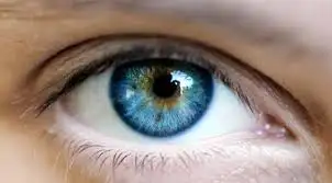 images.webp